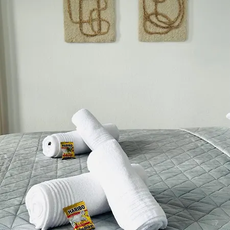 Niro I Design Xxl Loft, Zentral, Teilklima, Parkplatz Apartment Bensheim